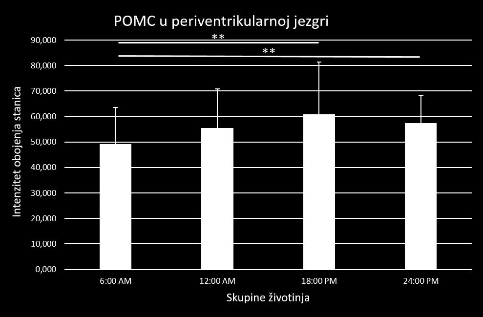 5. Rezultati Slika 4. Razlike u ekspresiji POMC receptora na stanicama periventrikularne jezgre kod 4 skupine životinja označenih prema vremenu žrtvovanja. T-test za neovisne uzorke.