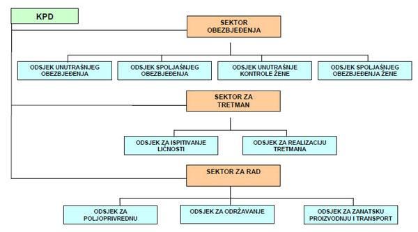 yplaniranje nabavki opreme i investicija za zatvorski sistem; yprikupljanje, obrađivanje i objedinjavanje svih izvještaja i dokumentacije organizacionih jedinica Zavoda; ymeđunarodna saradnja.