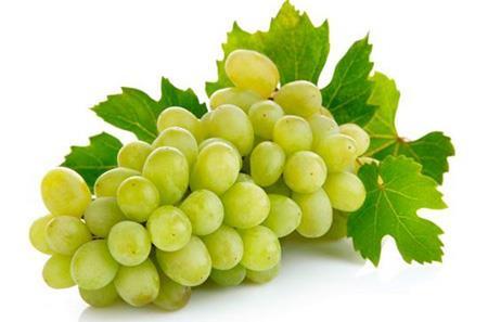 Zdravlje - grožđe i vino Izvor tekstova: http://alternativa-za-vas.com/ Pripremio: Dragutin Mijatović GROŽĐE Zdravlje na stotinu načina Grožđe??? Koja je vaša prva asocijacija kad ugledate vinograd?