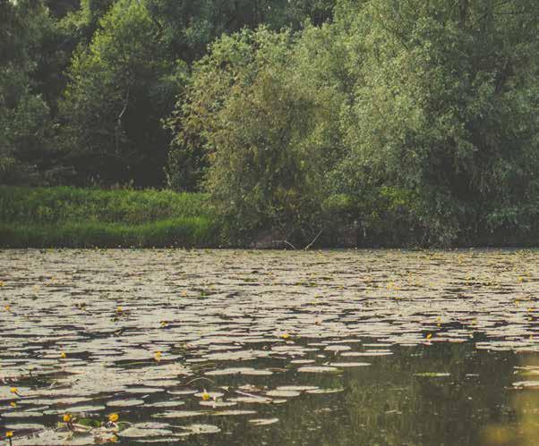 Netaknuta priroda panonskog bazena Međimurje je najsjevernije hrvatsko geografsko područje koje se, kao što mu i