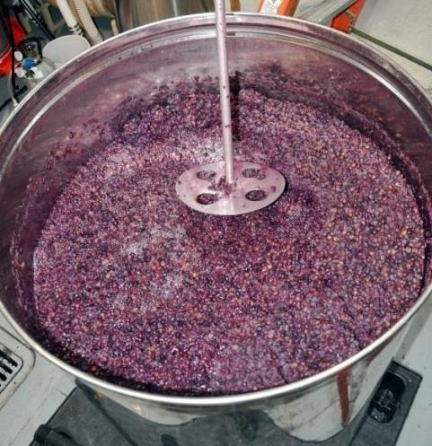 2. Teorijski dio Slika 9 Maceracija (izvor: web 12) Alkoholna fermentacija Alkoholna fermentacija je osnovna faza u proizvodnji vina gdje se mošt prevodi u vino dodatkom selekcioniranih kvasca.