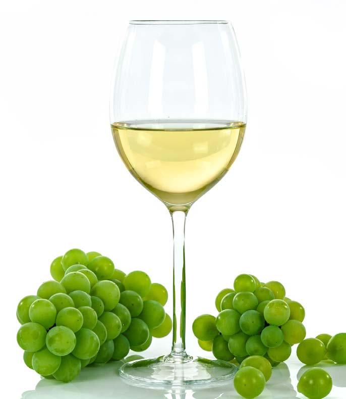 Bela vina White wines Plantaže Krstač 0,187 Plantaže Chardonnay 0,187 Plantaže Chardonnay 0,75 Plantaže Pro Anima Chardonnay, Sauvignon 0,75 Plantaže Pro Anima Pinot Blanc 0,75 Plantaže Malvazija