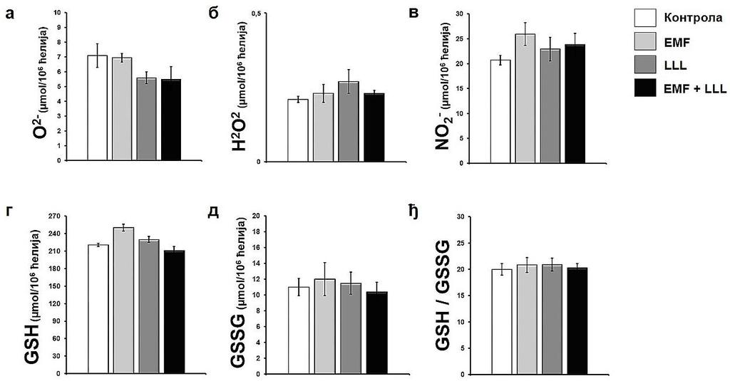4.8. Појединачни и комбиновани LLL и EMF третман изолованих hat-mscs LLL није утицао на оксидативни стрес третираних ћелија Даље испитивање ограничавајућих фактора након стимулационог третмана