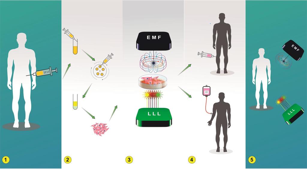 Схема 4. Приказ потенцијалне примене LLL-а и EMF-а у ћелијском инжењерингу.