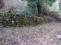 dello sperone roccioso fiancheggiando la sua pendice occidentale. La porta romanica Il portale romanico rappresenta la parte più antica del castello.