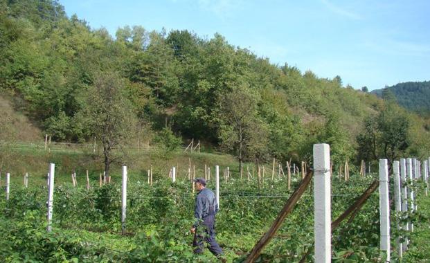 Na području Jajca, kroz finansijsko učešće dijaspore, programa Migracije i razvoj i Općine Jajce 2014.