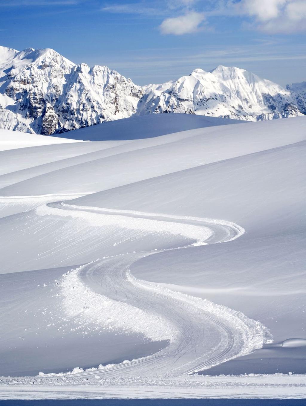 eskimo suv 2 HP ZIMSKA SUV VELIKA IZDRŽLJIVOST Visokokvalitetna guma za sportske terence s izvrsnom upravljivošću i kočenjem u nepovoljnim zimskim uvjetima Teške zimske prilike zahtijevaju izdržljive