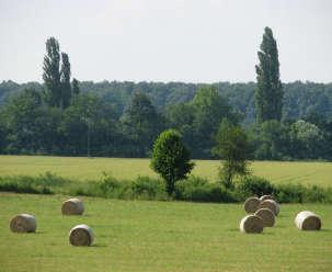 nepreglednim pašnjacima na kojima u ljetnoj sezoni boravi