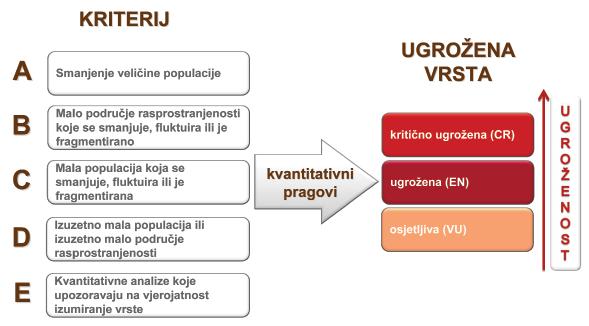 34 snička gušterica naseljava Brusnik (Slika 29), Jabuku, Kamik, Sv. Andriju (Svetac), Biševo, Vis i okolne manje otočiće i hridi.