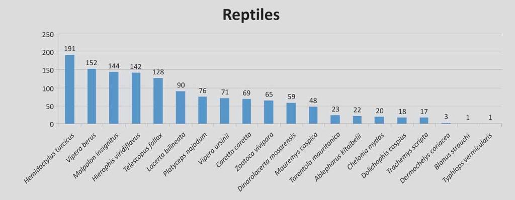 59 a b Figure 12 a) and b) overview of the total number of findings of reptiles as per species (N = 39 +2) 3.4.