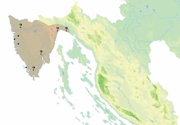 NE Mediteranska kategorija ugroženosti: NE Nacionalna kategorija ugroženosti: ugrožena, EN B1+2ab(ii,iii,iv) Rasprostranjenost: Područje hrvatskog i slovenskog dijela Istre.