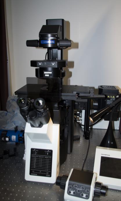 inverrted Microscope IX73 Wide Diameter