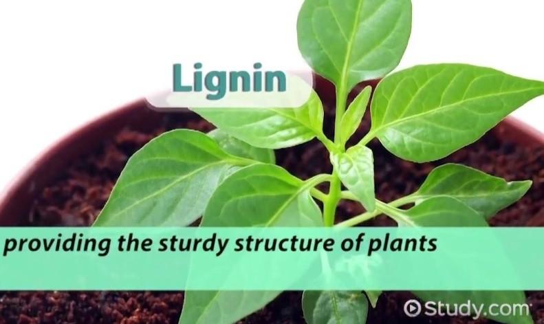 Rezime Lignin: nus proizvod industrije celuloze i papira, ili predobrade biomase Prikazan je postupak sinteze lignin mikrosfera postupkom