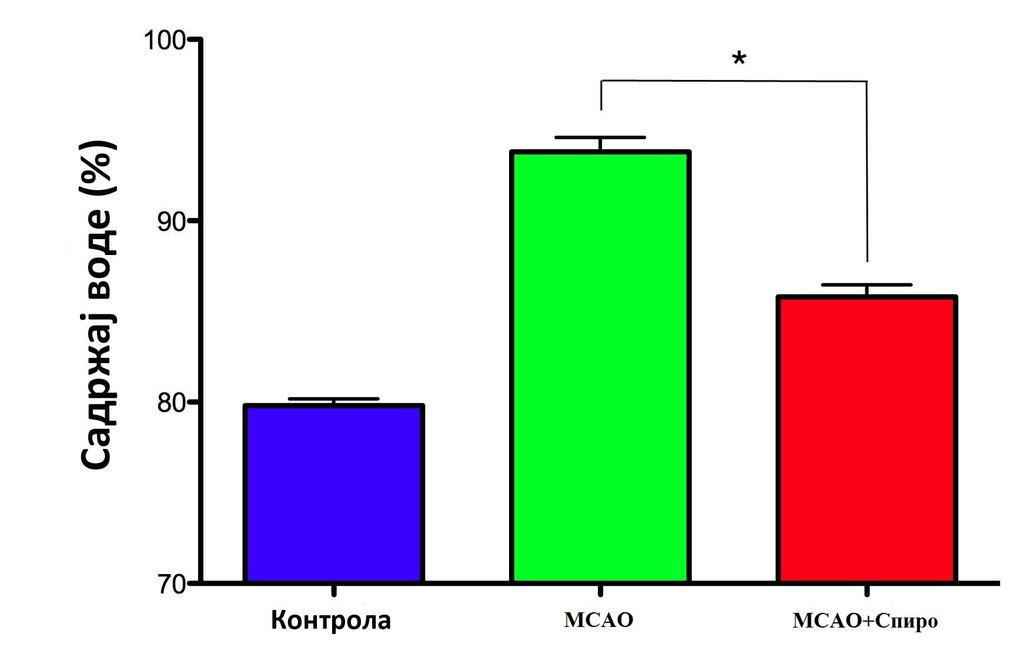 10,26%±0,5 за разлику од МCAO групе животиња где је измерена готово три пута већа површина мозга захваћена инфарктом од 29,32%±1,4.