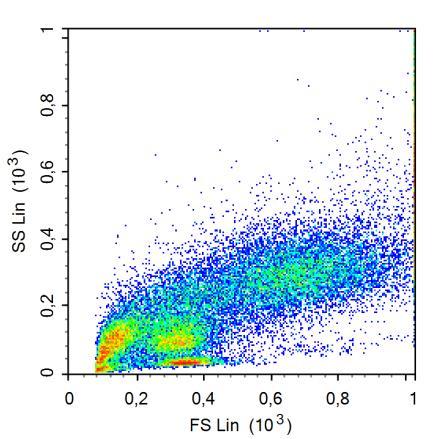SSC (x10 3 ) PI флуорецсенце (PI).