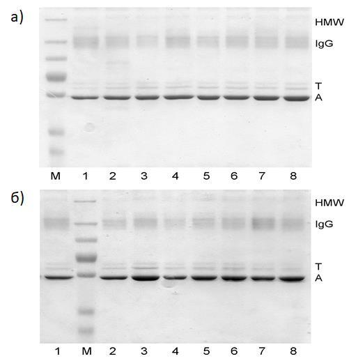 SDS-PAGE у нередукујућим условима и протеини CIC болесне телади се раздвајају у исте четири фракције: протеине велике молекулске масе, IgG, трансферин и албумин (слика 3.6).