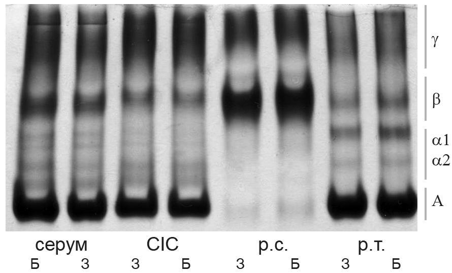 Концентрација протеина у риванол-солубилним узорцима је била ниска, и није се могла анализирати електрофорезом у гелу агарозе којом се може раздвојити до 5 μl серума.