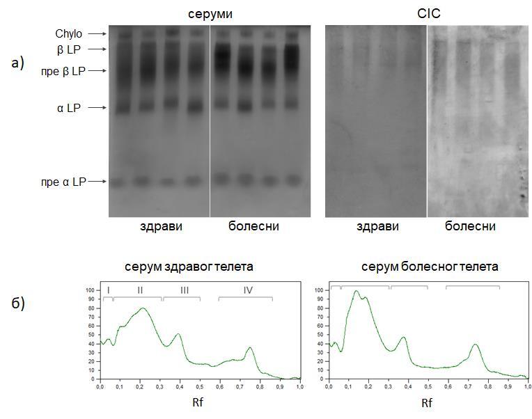 покретљивости у пре-β-β-пост-β зони.