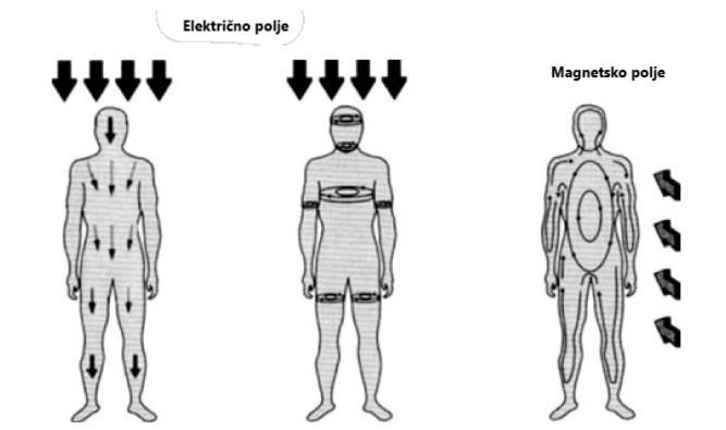 Slika 1: Prikaz kako se električno i magnetsko polje ponaša prilikom interakcije sa ljudskim tijelom, [1] Kada se osoba nalazi pod utjecajem ili magnetskog ili električnog polja tada nema opasnosti