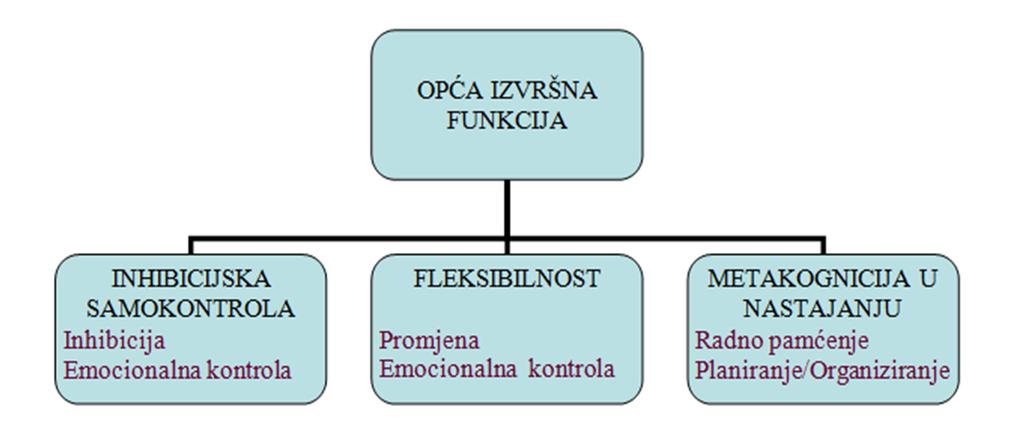 funkciju, što su pokazala i druga istraživanja, koja izlučuju središnju IF (Friedman i Miyake, 2004). Model je prikazan na slici 1 (Gioia i sur., 2003). Slika 1.