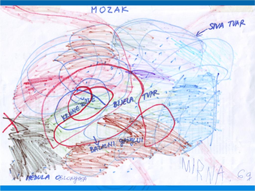 1. 5. Odnos izvršnih funkcija i teškoća u ponašanju U dječjoj neuropsihologiji raste interes za složene psihološke ishode nakon perinatalnih lezija mozga, kao što su izvršne funkcije, učenje ili