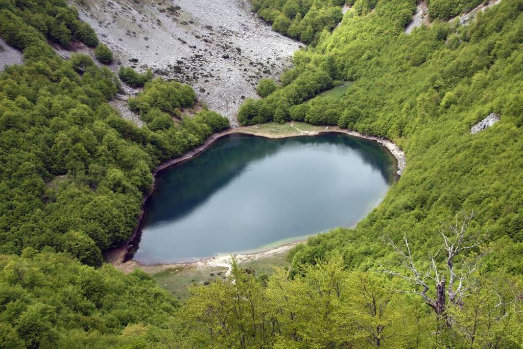 (dugačko 165 m). Najlakši prilaz jezerima je iz pravca Plužina stazom uz Vrbnicu i Stabanjski potok.