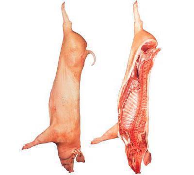 A B 3 C D Slika 2: Mjesta uzimanja obrisaka na trupovima svinja Obrisak se uzima čvrstim i ujednačenim pritiskom o trup s četiri mjesta (ukupno najmanje 400 cm 2 ).