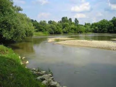 Опис природних, створених и предеоних одлика Река Нера Нера је због свог бујичног карактера некада била регулисана каналом Јаруга.