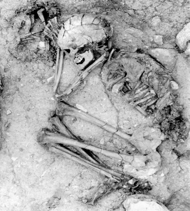 pokopanog uz čovjeka, u gornjem lijevom kutu (slika 2.3.).