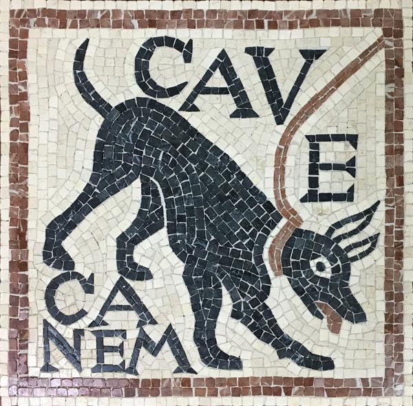 Slika 3.1. Antički natpis ''Čuvaj se psa'' Izvor: https://theancienthome.com/products/cave-canem-mosaic Pas čuvar ima razvijeniju obranu od napada na sam čopor.