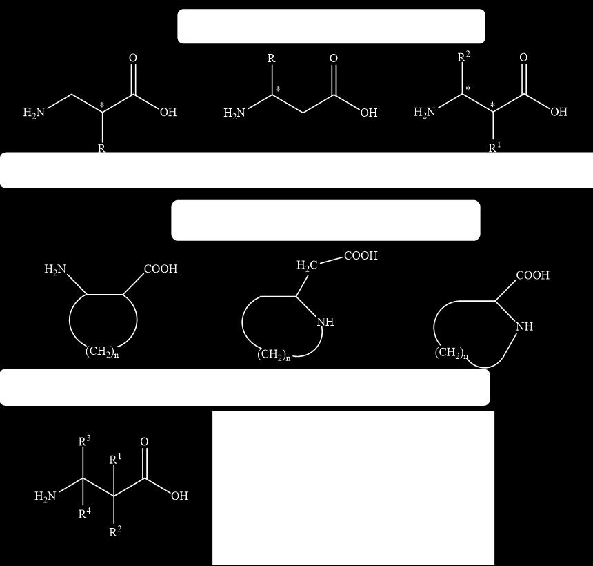 1.1. Хемијске особине β-аминокиселина Аминокиселине су веома важни органски молекули са амино (-NH2) и карбоксилном (-COOH) функционалном групом и бочним ланцем који је специфичан за сваку