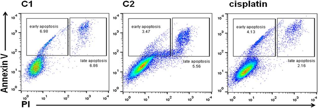 Author's personal copy Transition Metal Chemistry line, LLC1 and murine colon carcinoma cell line, CT26 cells than C1 (Fig. 8). The cytotoxic effect of C2 on LLC1 was lower compared to cisplatin (Fig.