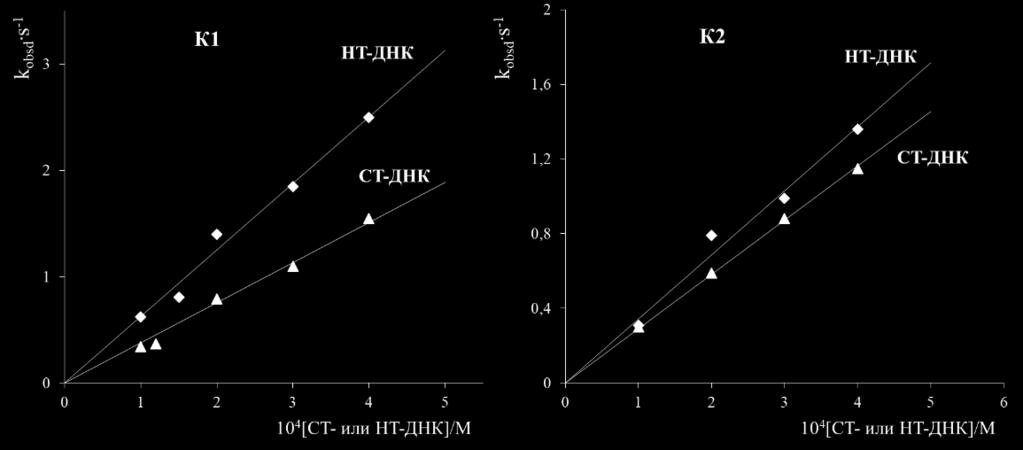 Вредности константе брзине pseudo-првог реда, kobsd, су у корелацији са концентрацијом ДНК и при истим концентрацијама СТ-ДНК и НТ-ДНК су веће при супституцији са комплексом К1.