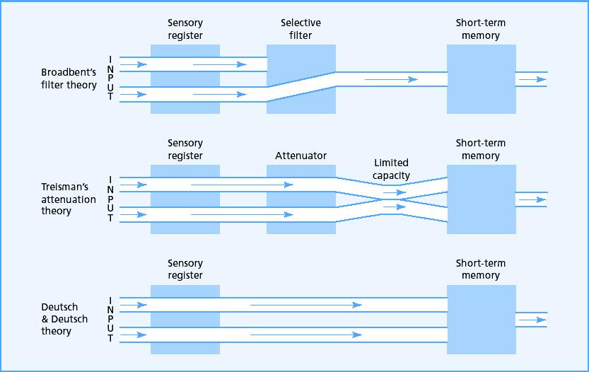 Teorije auditivne selektivne pažnje Senzorni registar Filter Kratkotrajna memorija Brodbent Trizman Senzorni