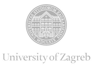 University of Zagreb Faculty of Humaniteis and Social Sciences Ivana Lučića 3 ACQUISITION OF STANDARD