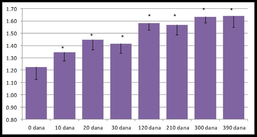 Slika 78. Lakunarnost hromatina u epitelnim ćelijama proksimalnih tubula. Lakunarnost je u starijih miševa ostala visoka da bi maksimalnu vrednost dostigla u poslednjoj (390 dana) grupi (1.640±0.