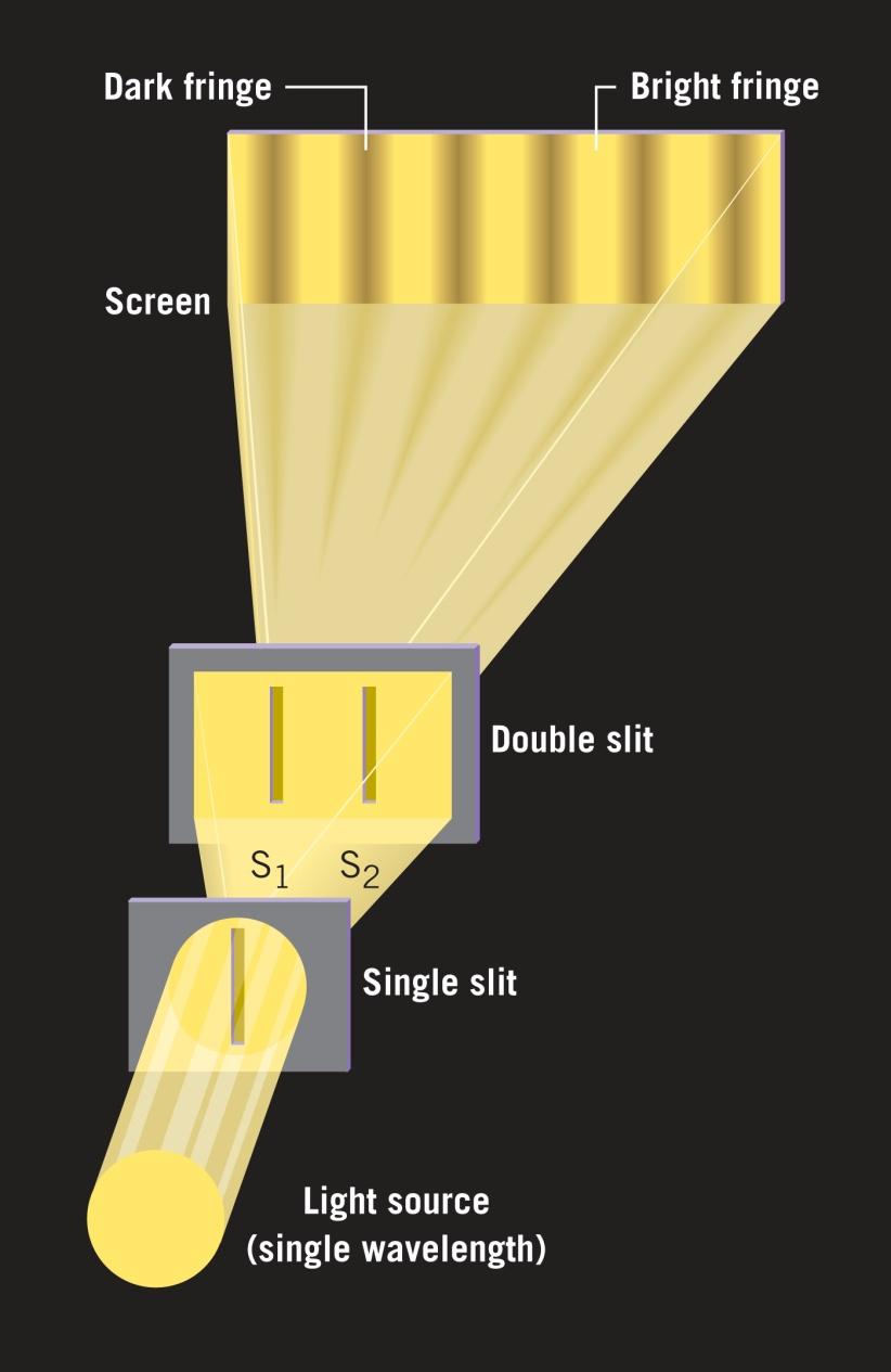 27.2 Youngov pokus s dvije pukotine tamna pruga svijetla pruga zaslon U Youngovom pokusu, dvije pukotine djeluju kao koherentni izvori svjetlosti.