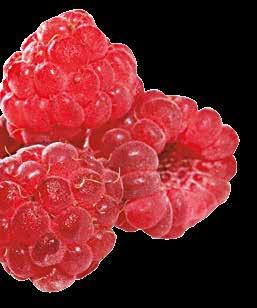 Malina je kraljica bobičastog voća, a zahvaljujući hranjivim i ljekovitim svojstvima nazivaju je i eliksirom zdravlja.