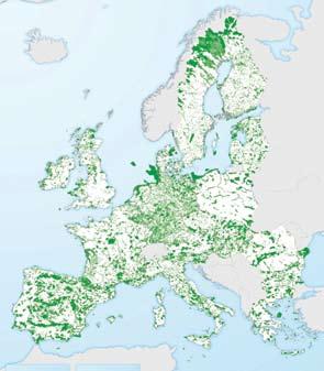 NATURA 2000 u Europi......i Hrvatskoj Očuvanje biološke raznolikosti Europe Odabir NATURA 2000 područja u Hrvatskoj EU Direktiva o pticama Mreža NATURA 2000 u Europi Europska unija (EU) je 2001.
