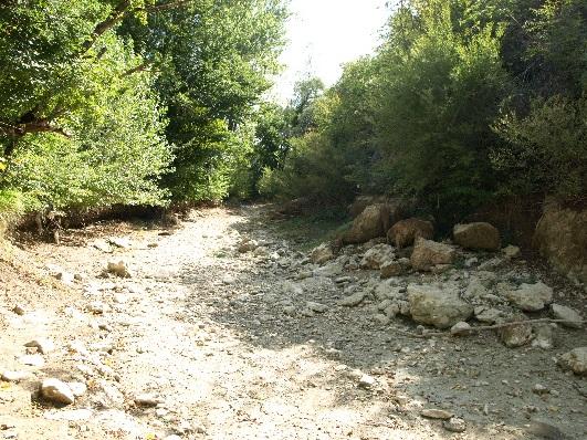 Slika 1: Suho korito povremene tekućice Ričina 1.2. Povijesni aspekt i značaj istraživanja ekologije povremenih vodotoka i makrozoobentosa Istraživanja na makrozoobentosu počela su već krajem 19.