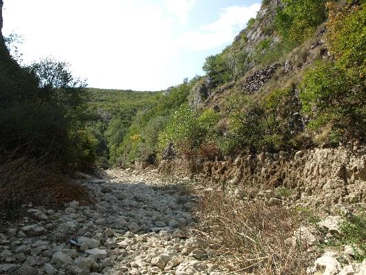 stoljeća znanstvenici su započeli povezivati strukturu zajednica i stanje kakvoće vodenih staništa (Cairns i sur., 1993.). Početkom 1970. su se ovakve analize počele koristiti kao biomonitoring.