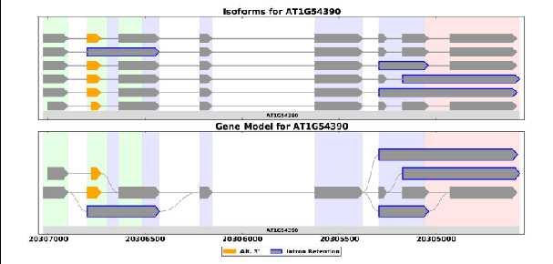 koje egzoni određenoga gena mogu biti sklopljeni u transkript; taj prikaz je tzv. splice graph (slika 2).