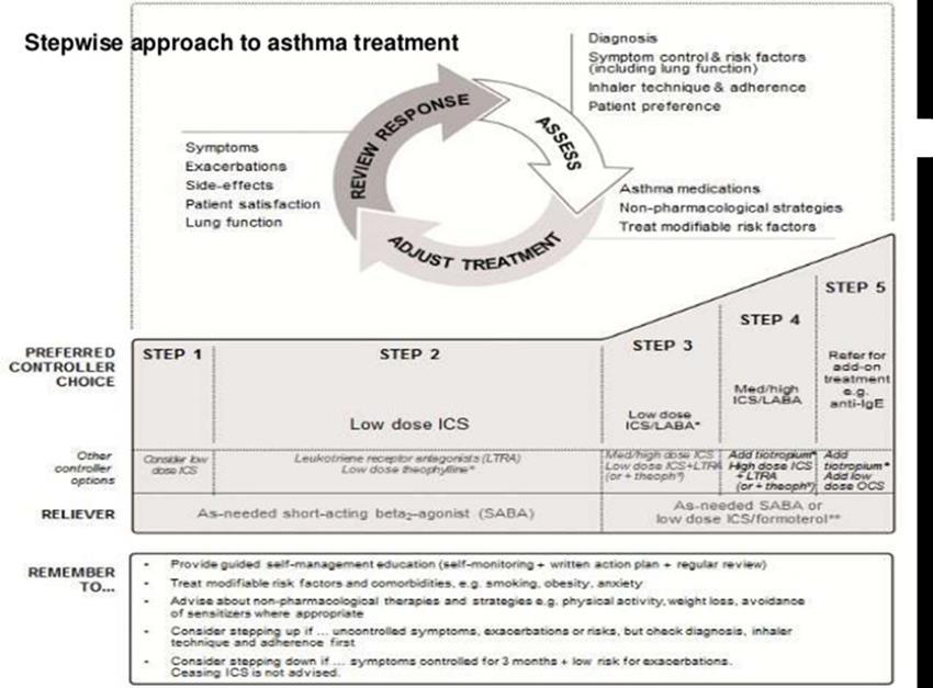 Figure 6. A schematic representation of the stepwise approach in asthma management.