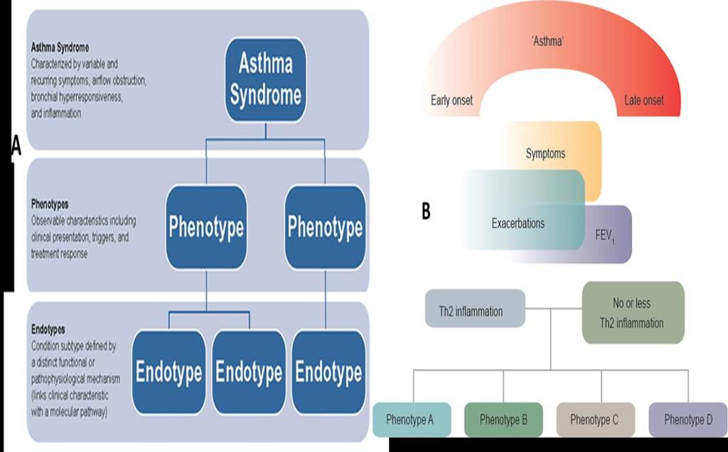 pathophysiological mechanisms.