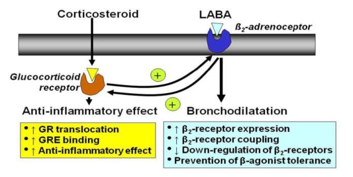 Source: Tse et al. 2011.