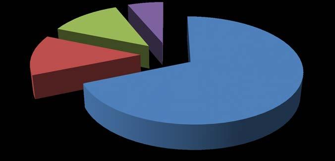 Страначки састав Владе Републике Српске СНСД 12,5% 6% 12,5% ДНС 69% СП ХДЗ БиХ Влада РС је имала проходност и у НС РС која је обезбјеђивила стабилност Влади РС. Па ипак, у фебруару 2013.