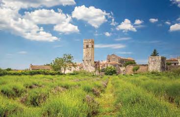 Savudrija Salvore Jelovice Umag Umago Novigrad Cittanova Tar-Vabriga Torre-Abrega Plovanija-Plovania I M R N A Kaštel-Castelvenere Buje Buie Brtonigla Verteneglio Kaštelir Labinci Castellier Santa