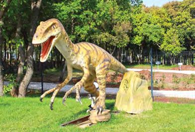 Među nalazima su i ostaci dinosaura mesojeda. Osim edukativne šetnje, Paleo park nudi opuštanje u kompleksu bazena koji se prostire na 706 četvornih metara i izveden je u obliku dinosaura.