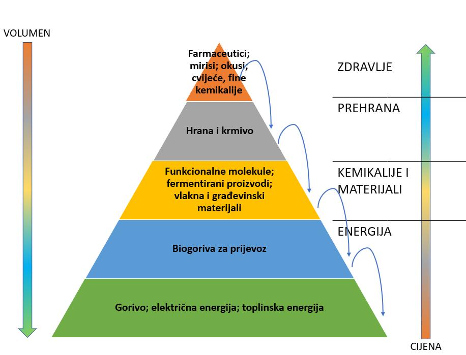 Pozicije OPG-a u bioekonomiji, uz primarnu djelatnost: Korisnik biomase, proizvođač i korisnik bio-ambalaže iz biopolimera Korisnik biomase, proizvođač i korisnik, prodavač biognojiva i