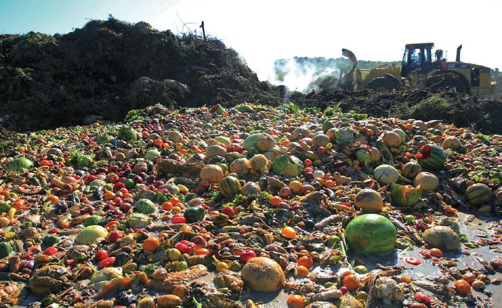 Uvođenje kružnog gospodarstva u fazi proizvodnje može zamijeniti ekvivalentna količina konvencionalne plastike.